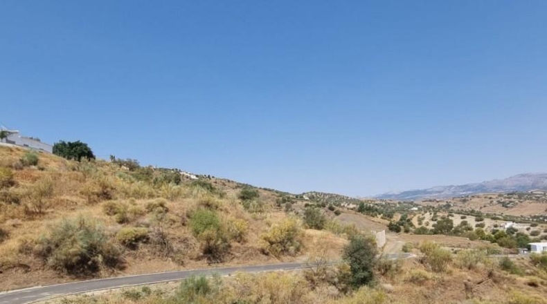 Málaga - Viñuela - 31900m2