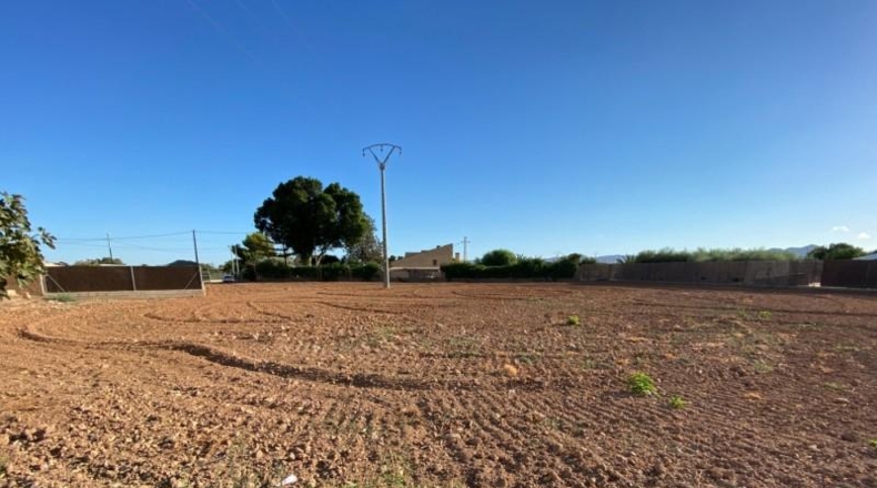 Murcia - Cartagena - 3087m2