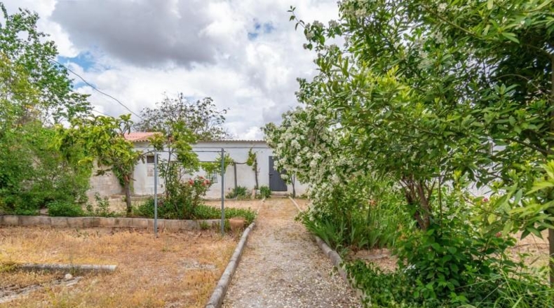Granada - Arenas del Rey - 561m2