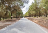 Casa de poble en venda a la España, Arenas del Rey, ref.: TR271184 foto