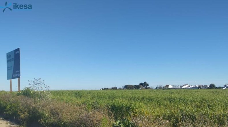 Huelva - Almonte - 9000m2