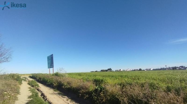 Huelva - Almonte - 9000m2