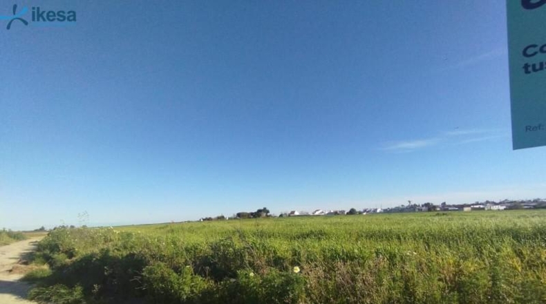 Huelva - Almonte - 9000m2