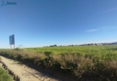 Parcela urbanizable en venta en la España, Almonte, ref: TR240680 foto