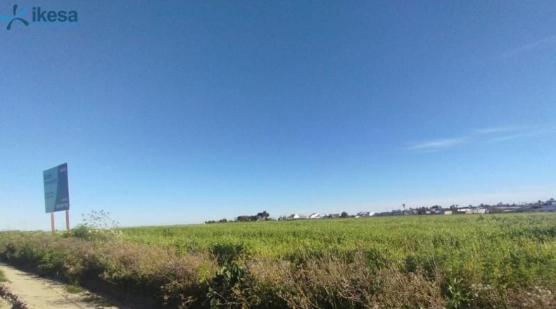Huelva - Almonte - 9000m2