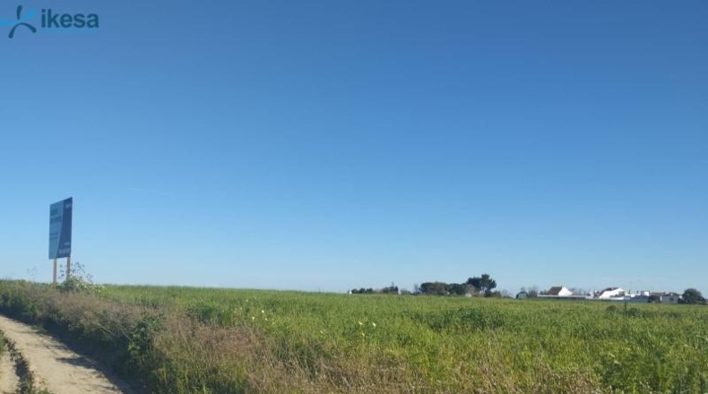 Huelva - Almonte - 9000m2