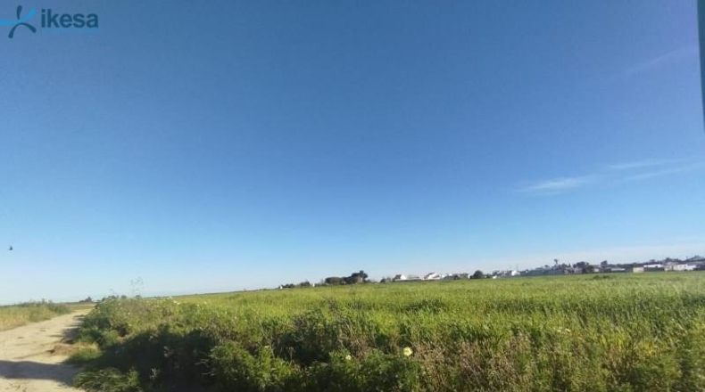 Huelva - Almonte - 9000m2