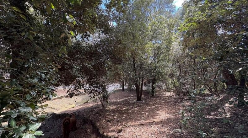 Barcelona - Castellar del Vallès - 1681m2