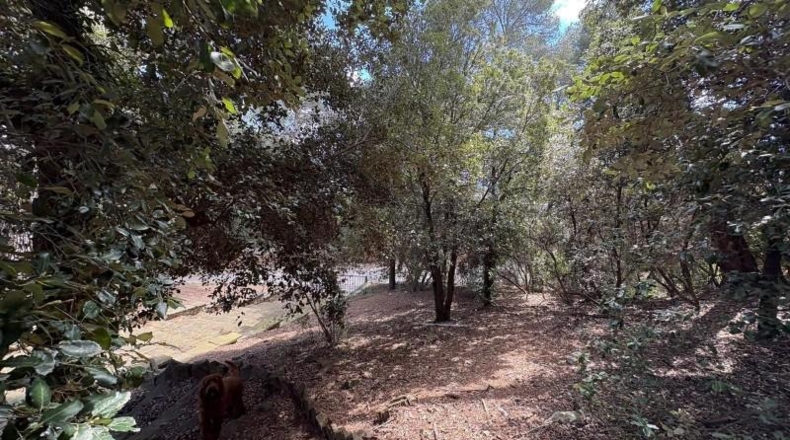 Barcelona - Castellar del Vallès - 550m2