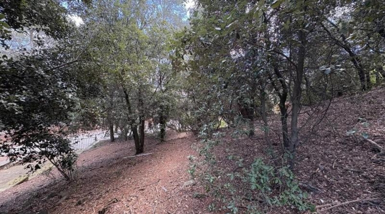 Barcelona - Castellar del Vallès - 1681m2