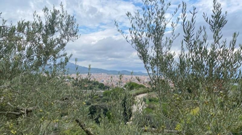 Barcelona - Tarrasa - 4000m2