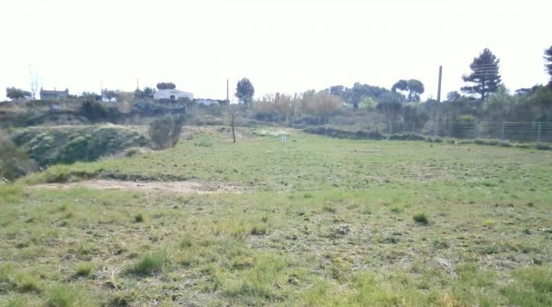 Barcelona - Castellbisbal - 14000m2