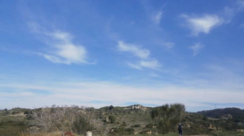 Barcelona - Castellbisbal - 14000m2