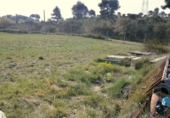 Terreny no urbanitzable en venda a la España, Castellbisbal, ref.: TR124799 foto