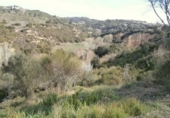 Terreny no urbanitzable en venda a la España, Castellbisbal, ref.: TR124799 foto