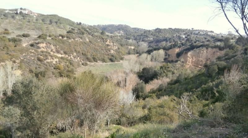 Barcelona - Castellbisbal - 14000m2