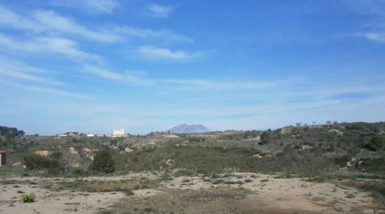 Barcelona - Castellbisbal - 14000m2