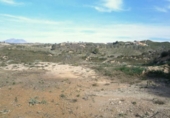 Terreny no urbanitzable en venda a la España, Castellbisbal, ref.: TR124799 foto