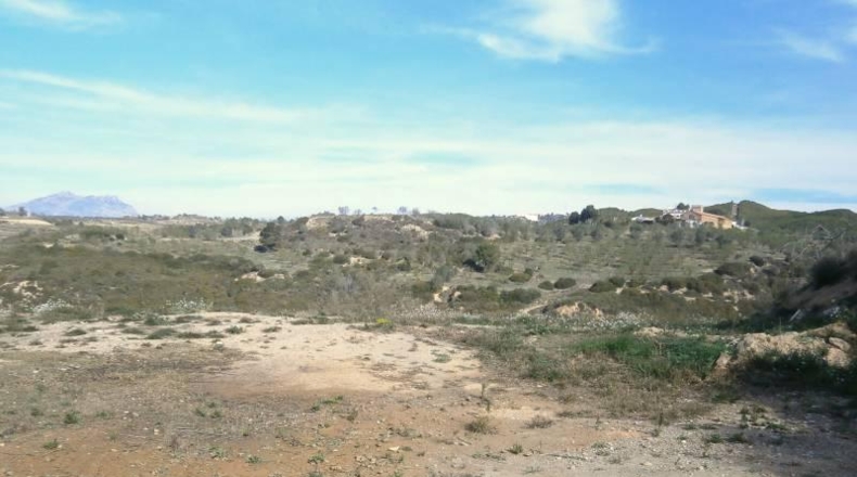 Barcelona - Castellbisbal - 14000m2