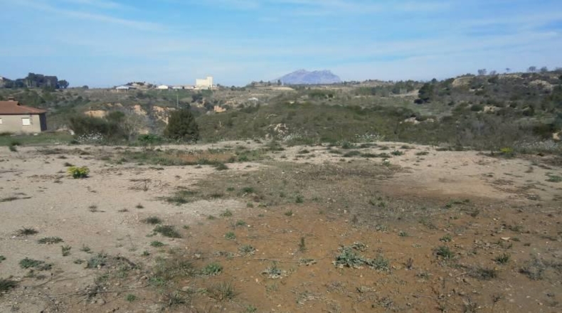 Barcelona - Castellbisbal - 14000m2