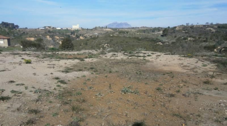 Barcelona - Castellbisbal - 14000m2