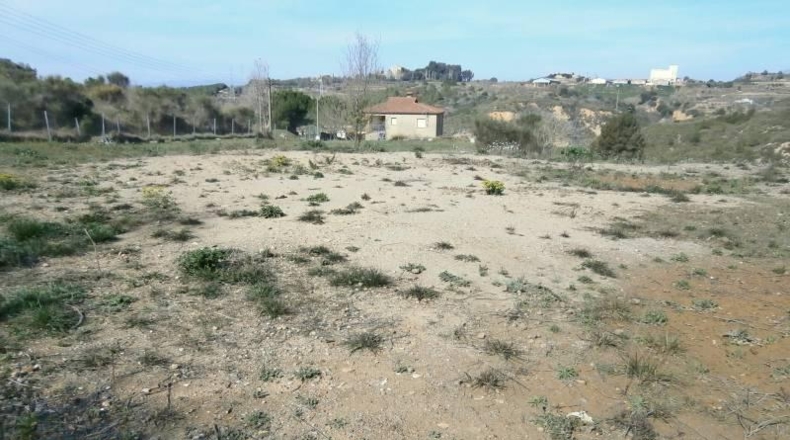 Barcelona - Castellbisbal - 14000m2