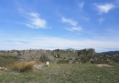 Terreny no urbanitzable en venda a la España, Castellbisbal, ref.: TR124799 foto