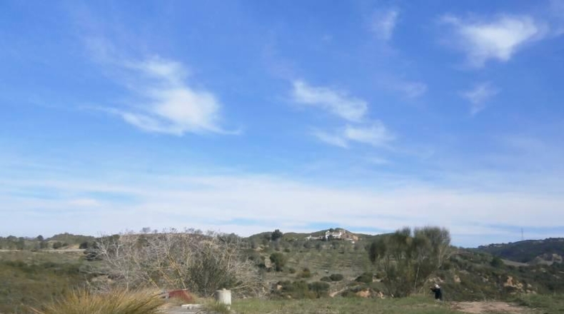 Barcelona - Castellbisbal - 14000m2