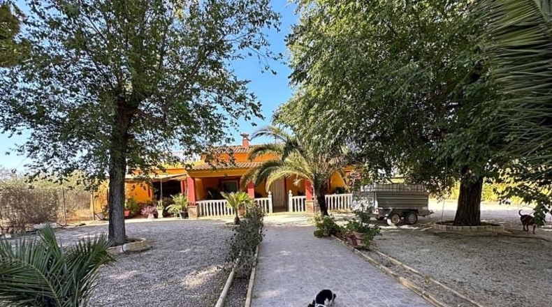 Sevilla - La Puebla de Cazalla - 2250m2