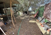 Casa de camp amb terreny en venda a la España, La Puebla de Cazalla, ref.: TR149196 foto