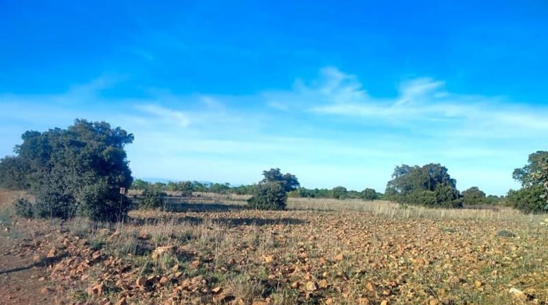 Toledo - Belvís de la Jara - 308922m2