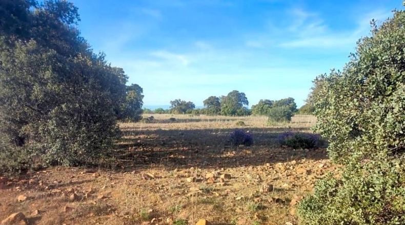 Toledo - Belvís de la Jara - 308922m2