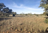 Terreny no urbanitzable en venda a la España, Belvís de la Jara, ref.: TR123810 foto