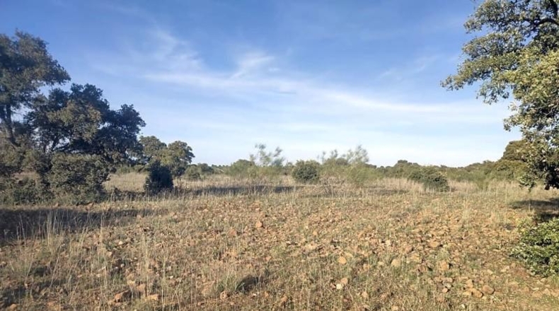 Toledo - Belvís de la Jara - 308922m2