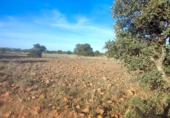 Terreny no urbanitzable en venda a la España, Belvís de la Jara, ref.: TR123810 foto
