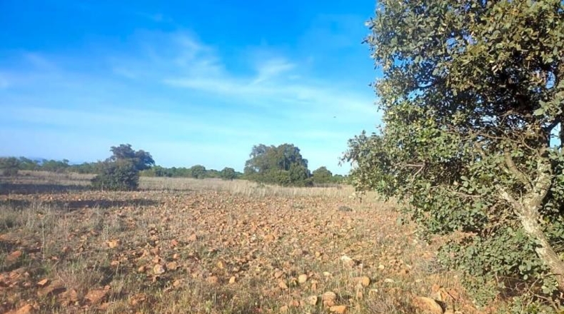 Toledo - Belvís de la Jara - 308922m2