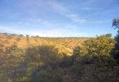 Terreny no urbanitzable en venda a la España, Belvís de la Jara, ref.: TR123810 foto