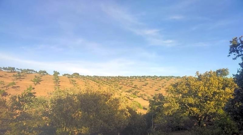 Toledo - Belvís de la Jara - 308922m2