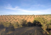 Terreny no urbanitzable en venda a la España, Belvís de la Jara, ref.: TR123810 foto