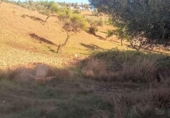 Terreny no urbanitzable en venda a la España, Belvís de la Jara, ref.: TR123810 foto