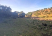 Terreny no urbanitzable en venda a la España, Belvís de la Jara, ref.: TR123810 foto