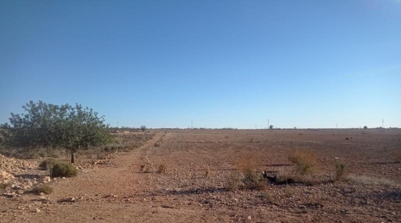 Asturias - Avilés - 80000m2