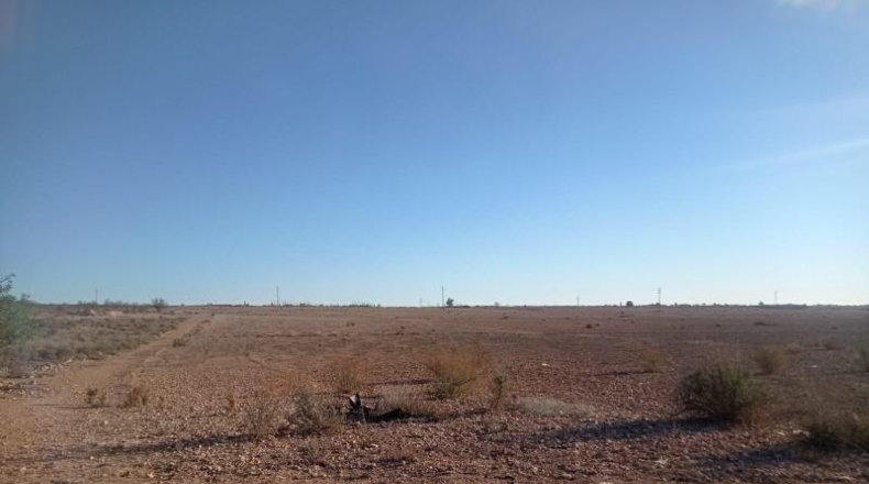 Múrcia - Múrcia - 80000m2