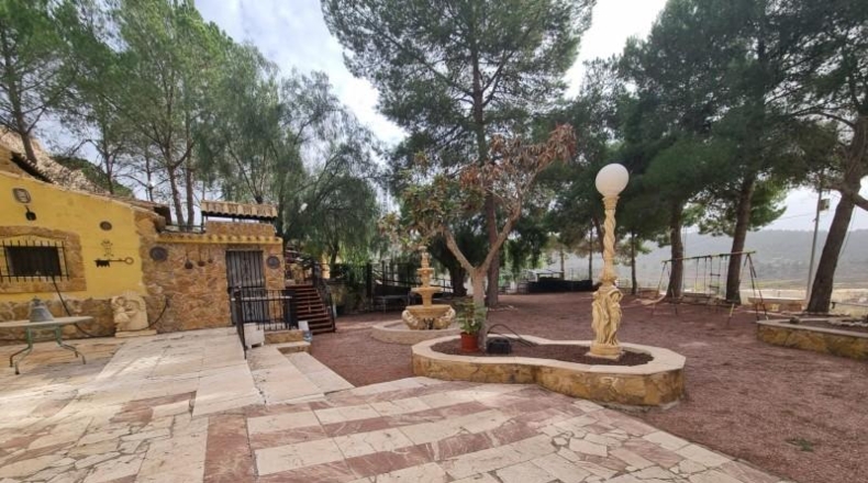 Alicante - Pinoso - 10496m2