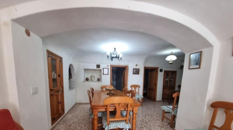 Alicante - Pinoso - 10496m2