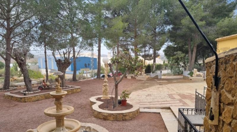 Alicante - Pinoso - 10496m2