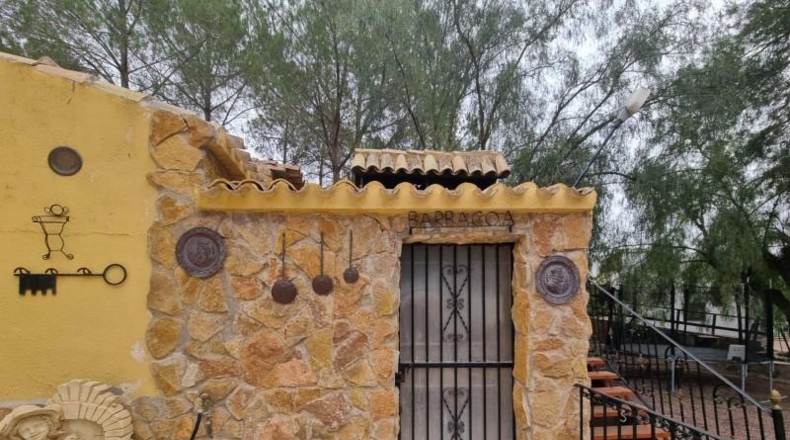 Alicante - Pinoso - 10496m2