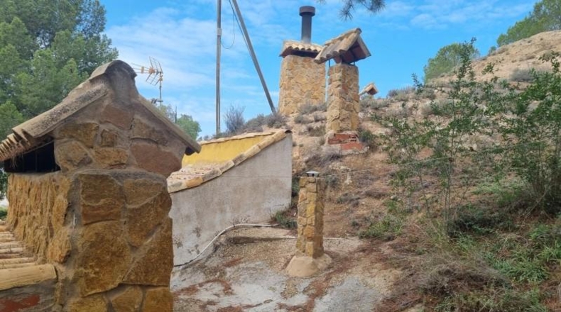 Alicante - Pinoso - 10496m2