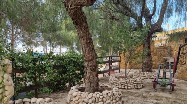 Alicante - Pinoso - 10496m2