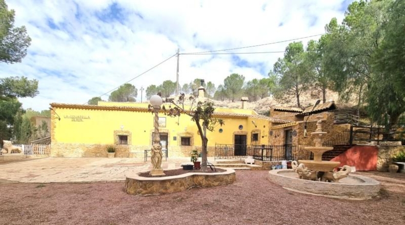 Alicante - Pinoso - 10496m2